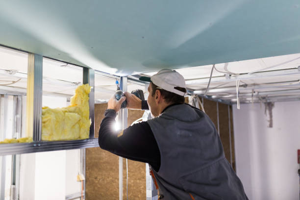Best Geographic-Specific Insulation Services in Waltham, MA